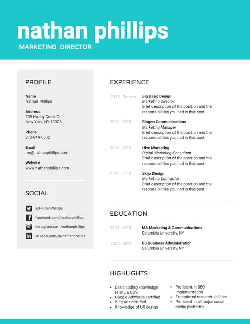 Simple Executive Resume Sample 