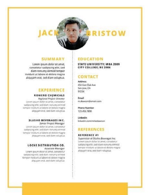 Simple Executive Resume Sample 